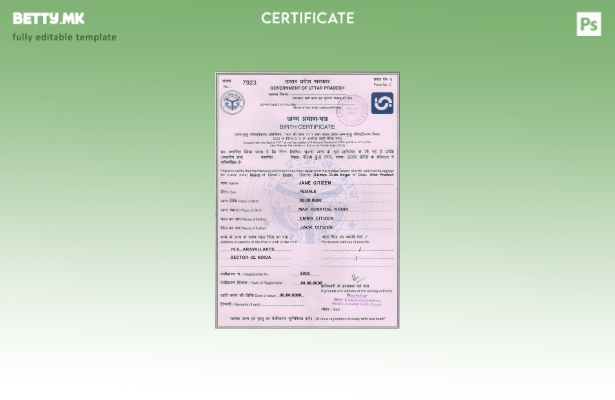 Модерен стил Шаблон на извод од матичната книга на родените на Владата на Инди 1